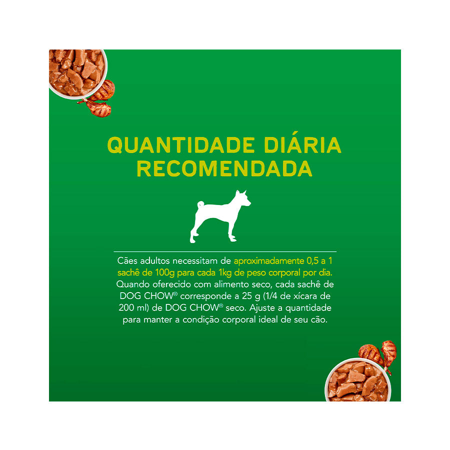 Ração Úmida dog Chow Sachê para Cães Adultos sabor Cordeiro 100g