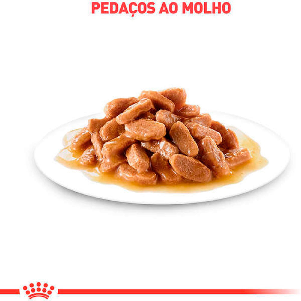 Ração Úmida Royal Canin Sachê Pedaços ao Molho Cuidado Digestivo para Gatos Adultos - 85 g