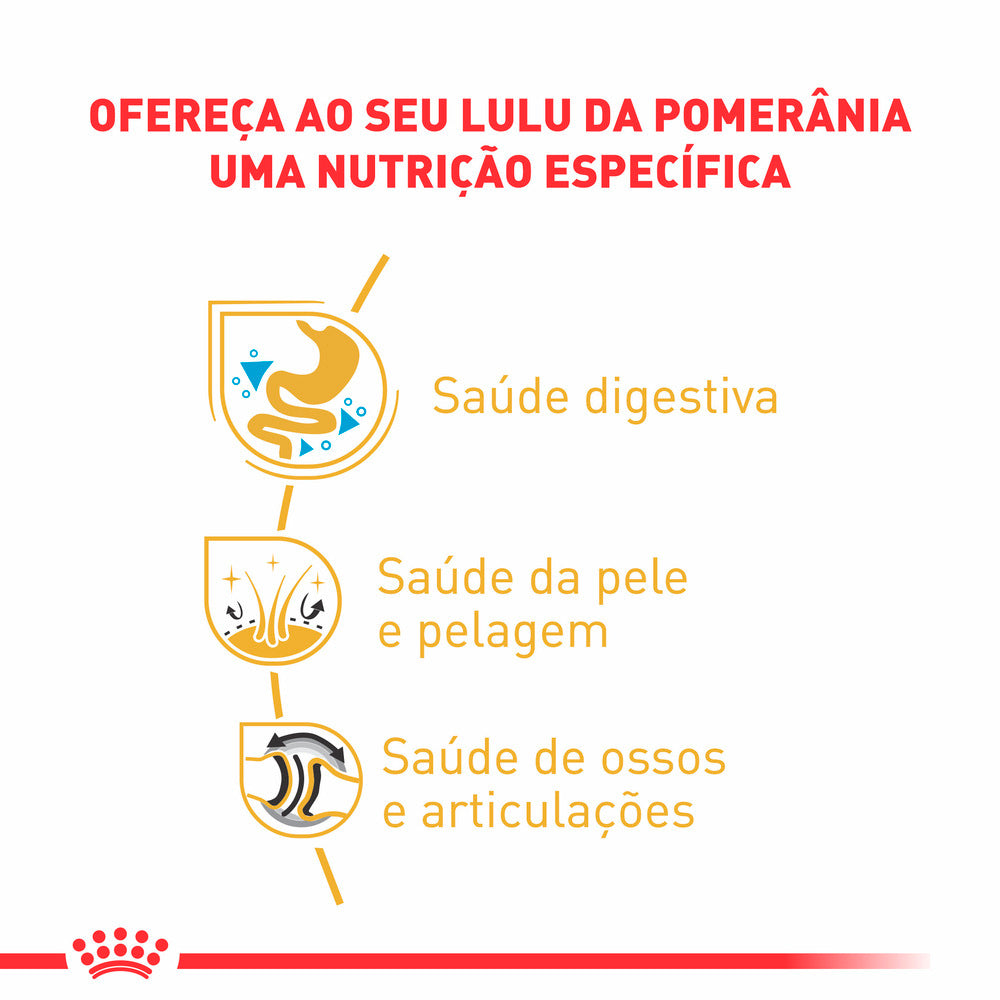 Ração Royal Canin Pomeranian para Cães Adultos da Raça Lulu da Pomerânia
