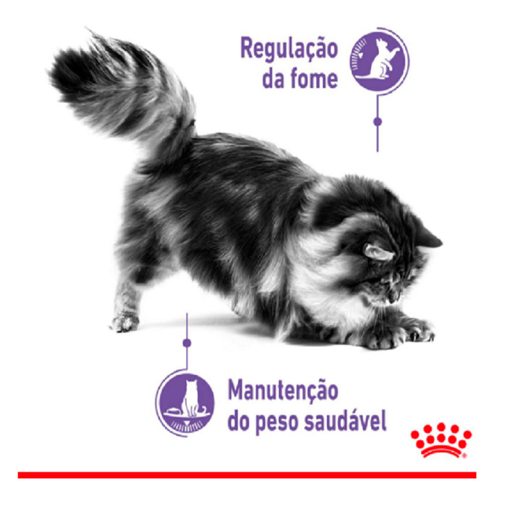 Ração Úmida Royal Canin Sachê Controle do Apetite para Gatos Adultos 85 g