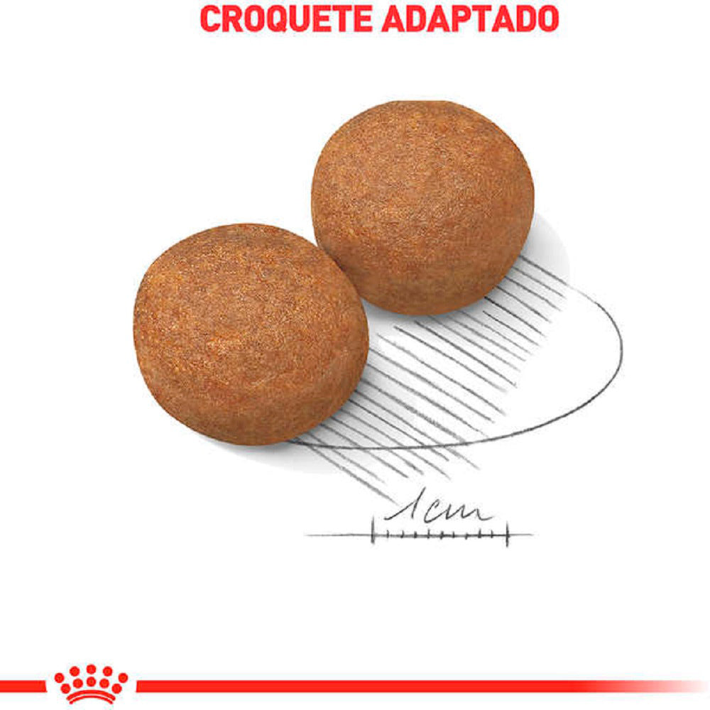 Ração Seca Royal Canin Maxi Adult para Cães Adultos de Porte Grande