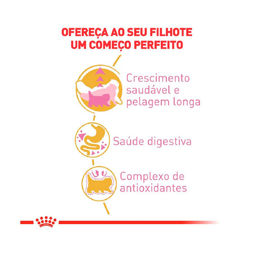 Ração Royal Canin Kitten Persian para Gatos Filhotes da Raça Persa
