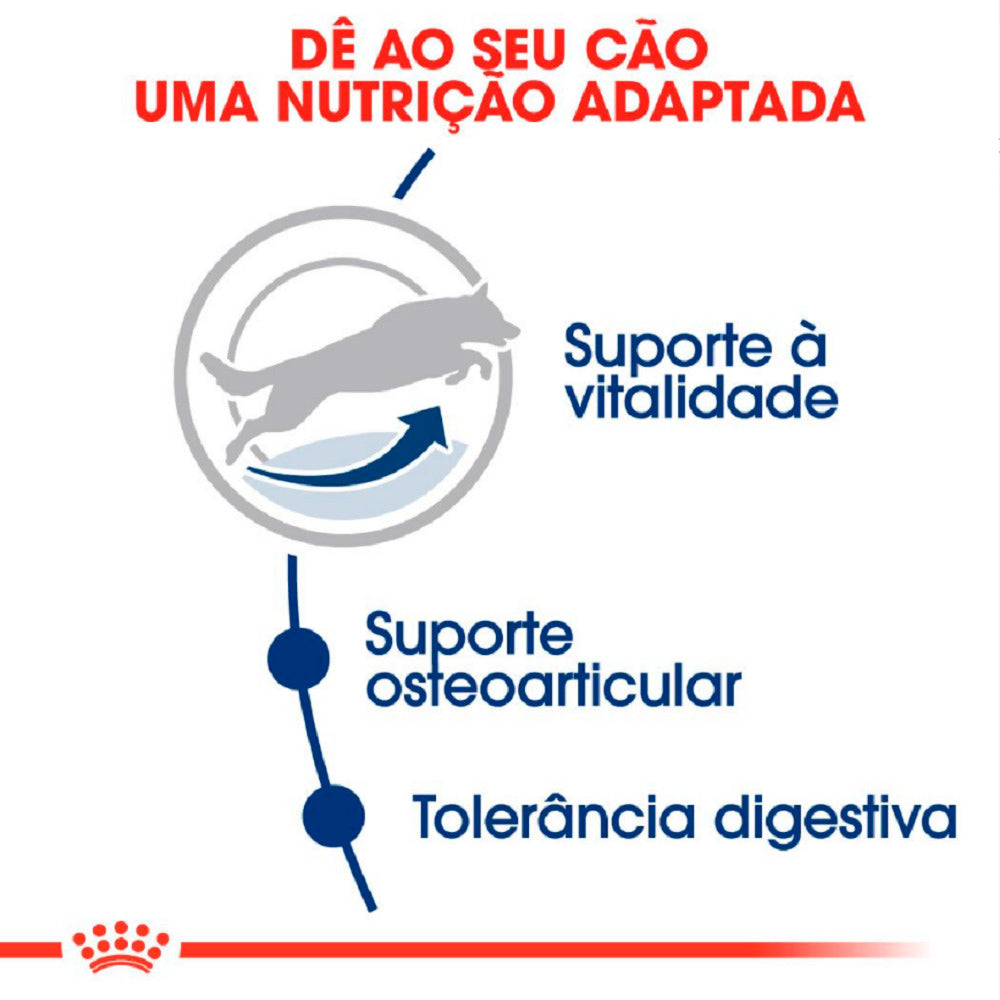 Ração Seca Royal Canin Maxi Adult 5+ para Cães Adultos de Porte Grande com 5 Anos ou mais