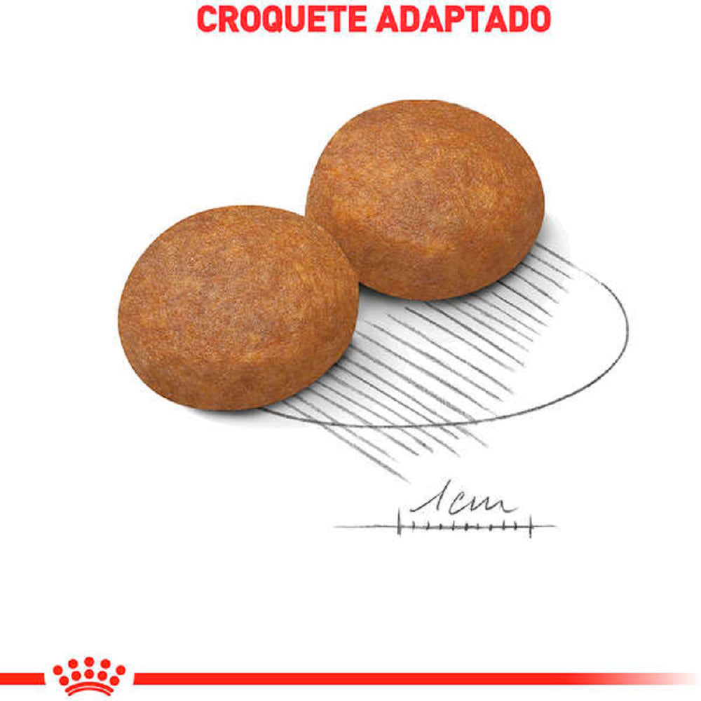 Ração Seca Royal Canin Maxi Adult 5+ para Cães Adultos de Porte Grande com 5 Anos ou mais