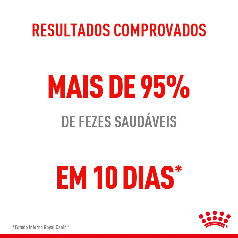 Ração Royal Canin Cuidado Digestivo para Gatos Adultos