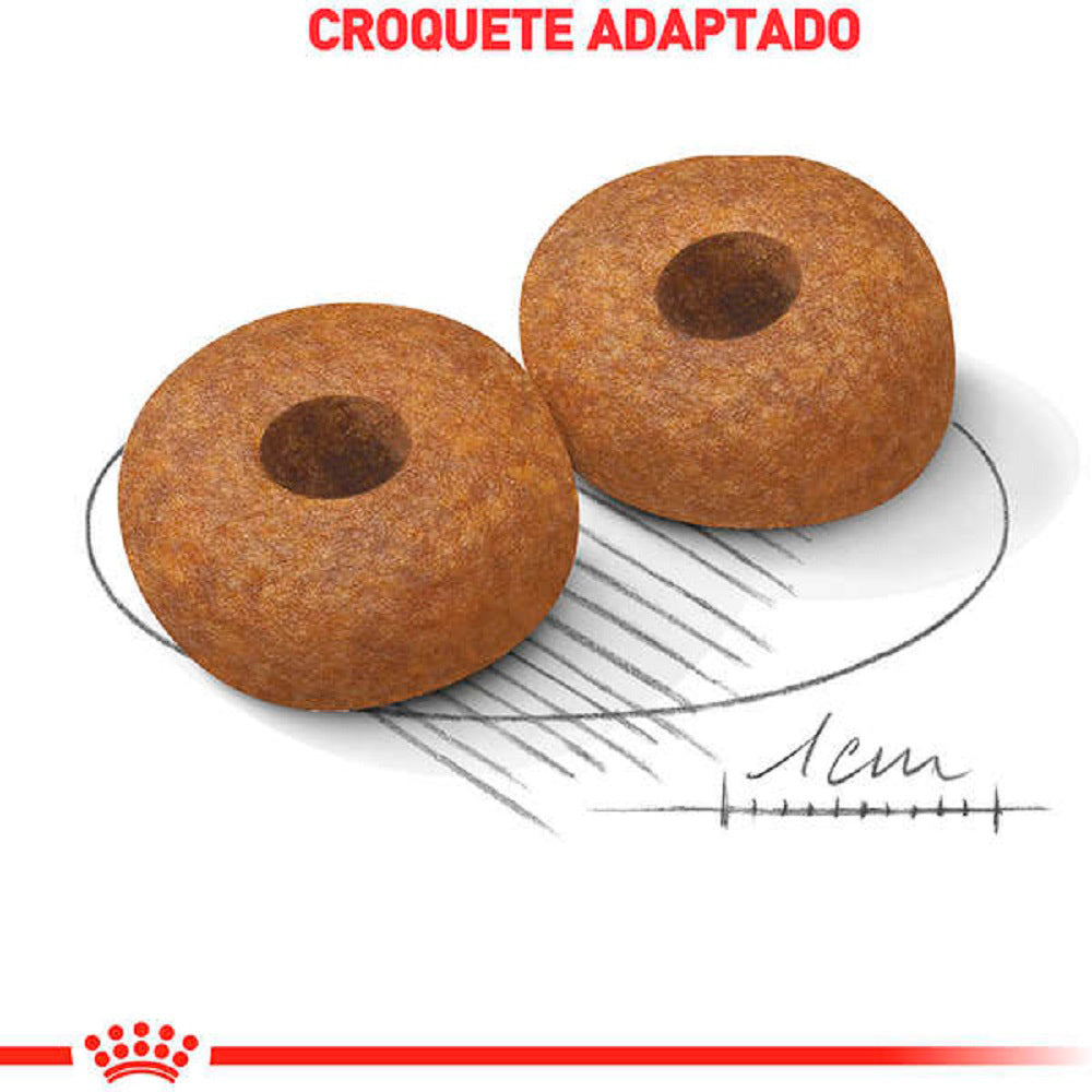 Ração Seca Royal Canin Medium Ageing 10 + para Cães Idosos de Porte Médio com 10 Anos ou mais