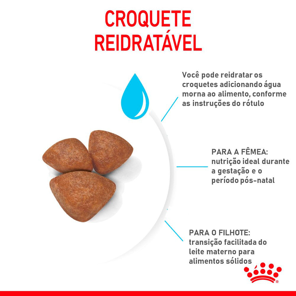 Ração Seca Royal Canin Starter Mother & Babydog Mini para Fêmeas gestantes/lactantes e Filhotes de 1 a 2 Meses de Idade
