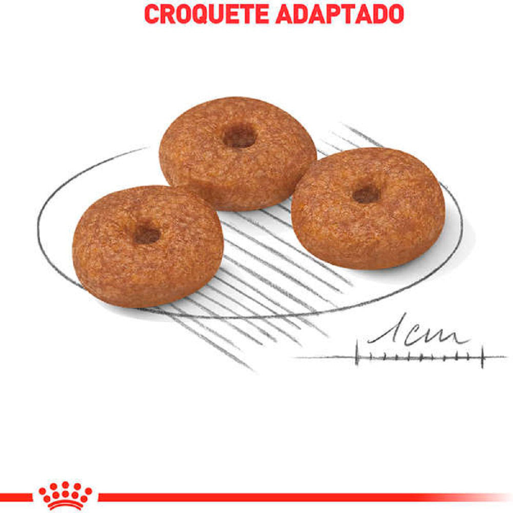 Ração Seca Royal Canin Mini Ageing 12+ para Cães Idosos de Porte Pequeno com 12 Anos ou mais