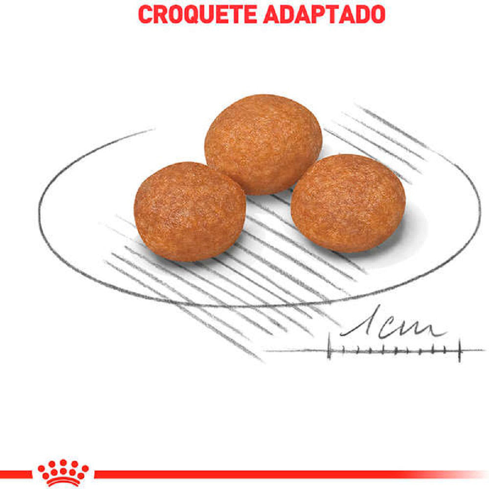 Ração Seca Royal Canin X-Small Adult 8+ para Cães Adultos e Idosos de Porte Miniatura com 8 Anos ou mais