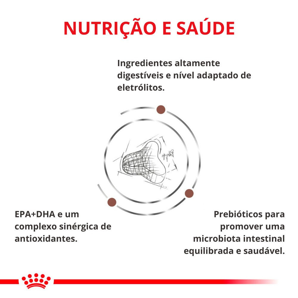 Ração Seca Royal Canin Veterinary Diet Gastrointestinal Fibre Response para Gatos Adultos - 1,5 Kg