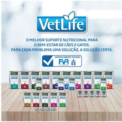 Ração Seca Farmina Vet Life Natural Hypoallergenic Pork e Potato para Cães Adultos 2kg