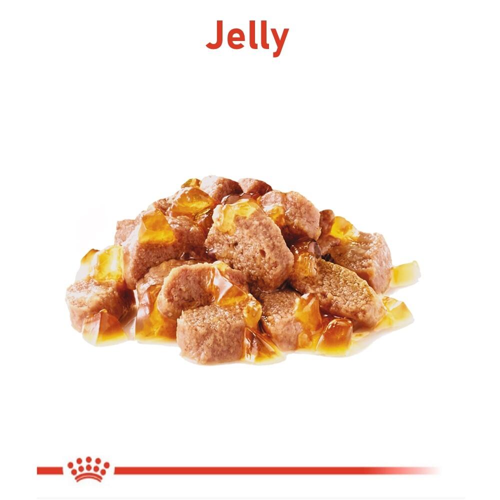 Ração Úmida Royal Canin Sachê Jelly Bolas de Pelo para Gatos Adultos 85 g