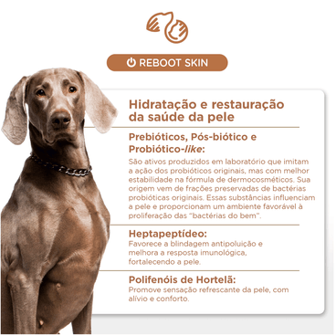 Spray Hidratante Soft Care SKB-on Complex para Cães e Gatos 100ml