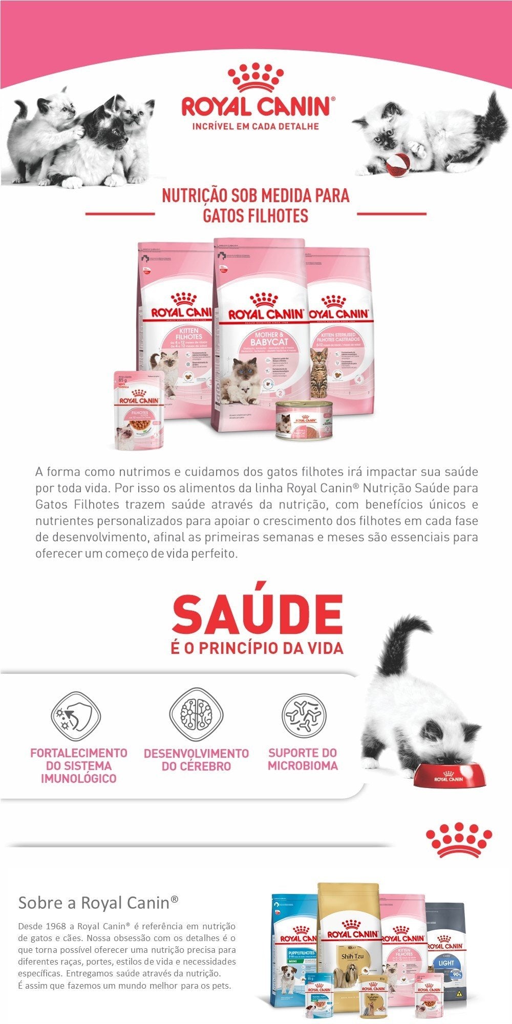 Ração Royal Canin Filhotes para Gatos Filhotes com Até 12 Meses de Idade