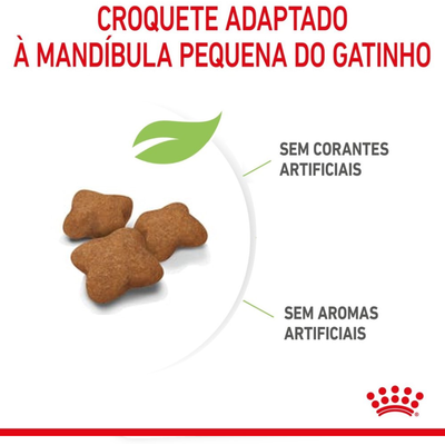 Ração Royal Canin Filhotes Castrados para Gatos Filhotes Castrados de 6 a 12 Meses