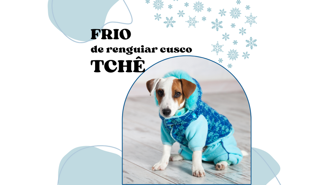 Cuidados com Seu Pet em Dias Frios