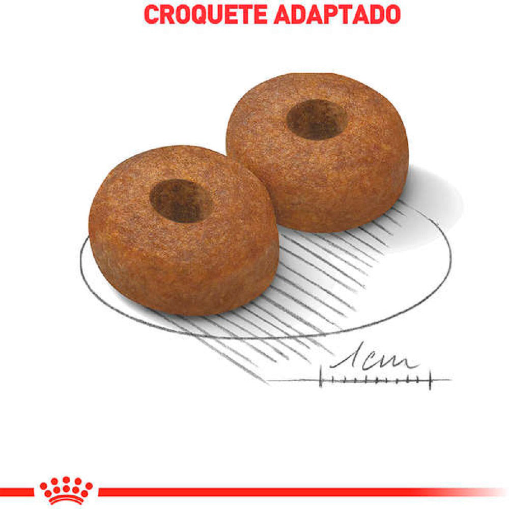 Ração Seca Royal Canin Maxi Ageing 8+ para Cães Idosos de Porte Grande com 8 Anos ou mais