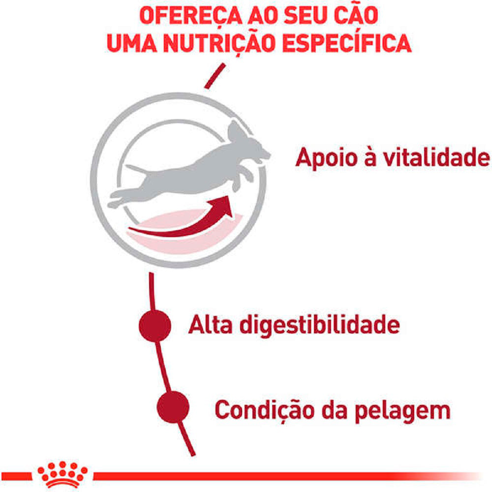 Ração Seca Royal Canin Medium Adult 7+ para Cães Adultos de Porte Médio com 7 Anos ou mais