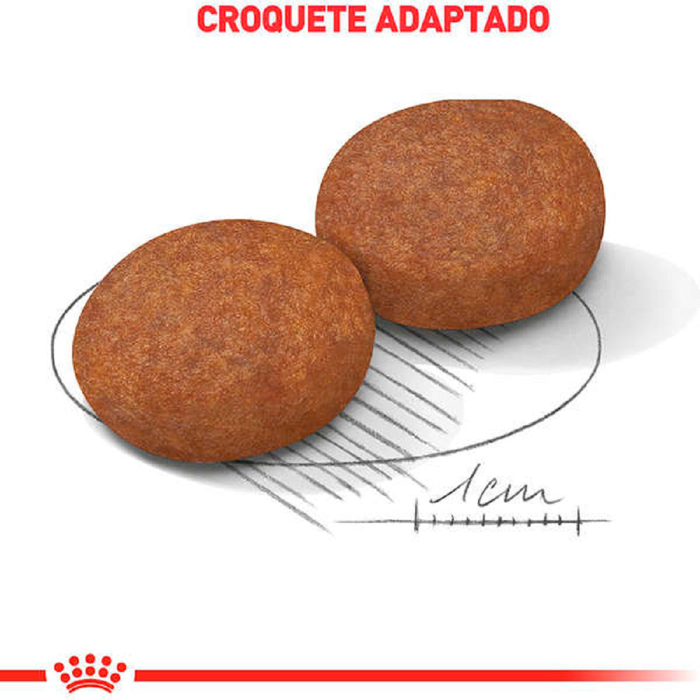 Ração Seca Royal Canin Medium Adult 7+ para Cães Adultos de Porte Médio com 7 Anos ou mais