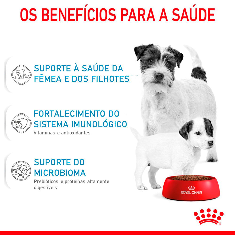 Ração Seca Royal Canin Starter Mother & Babydog Mini para Fêmeas gestantes/lactantes e Filhotes de 1 a 2 Meses de Idade