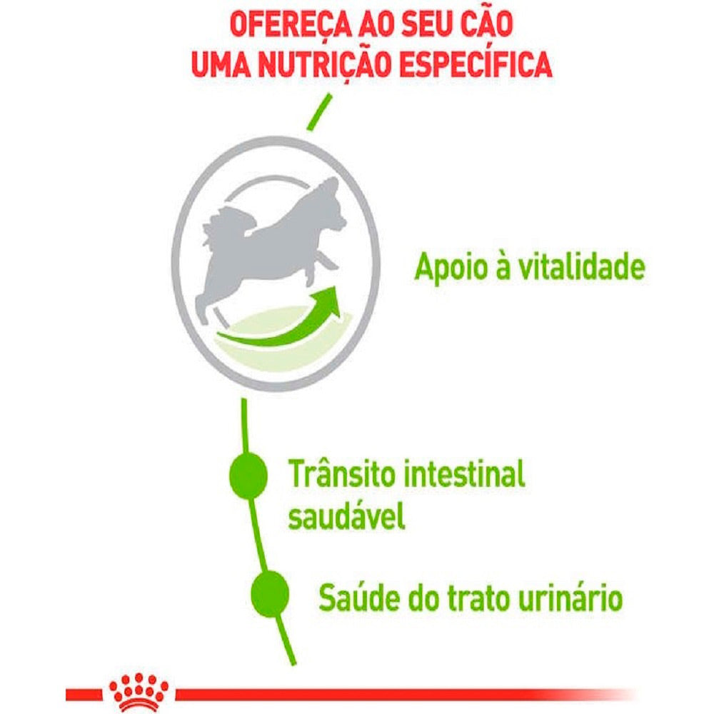 Ração Seca Royal Canin X-Small Adult 8+ para Cães Adultos e Idosos de Porte Miniatura com 8 Anos ou mais