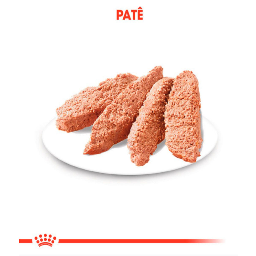 Ração Úmida Royal Canin Sachê Castrados Patê para Gatos Adultos Castrados 85 g