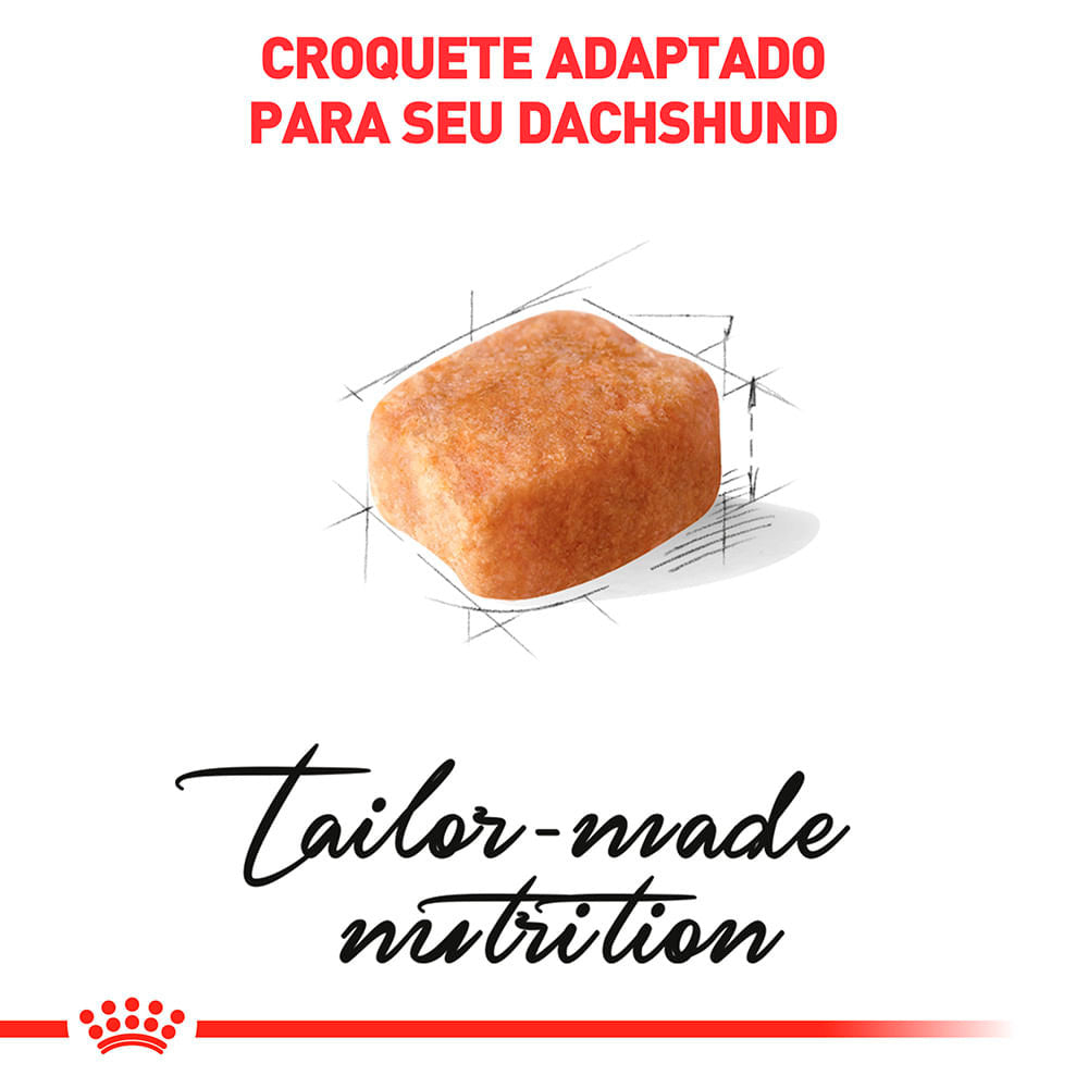 Ração Royal Canin para Cães Adultos da Raça Dachshund