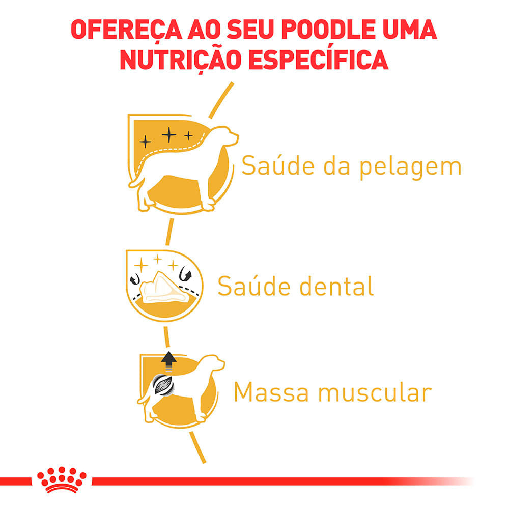 Ração Royal Canin para Cães Adultos da Raça Poodle