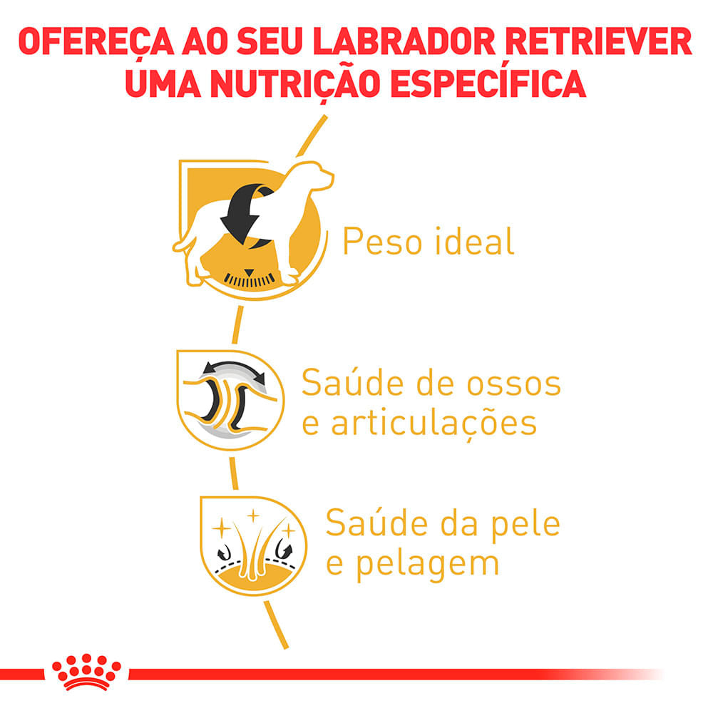 Ração Royal Canin para Cães Adultos da Raça Labrador Retriever