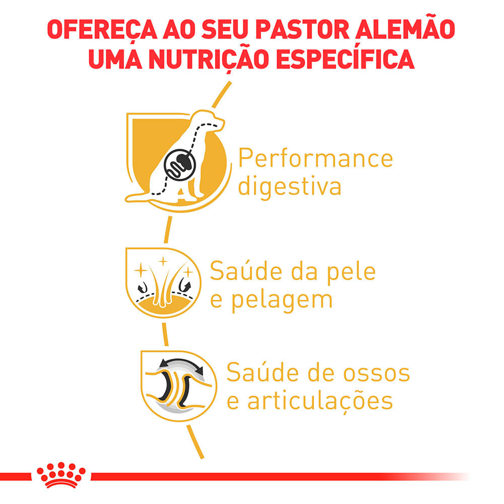 Ração Royal Canin para Cães Adultos da Raça Pastor Alemão