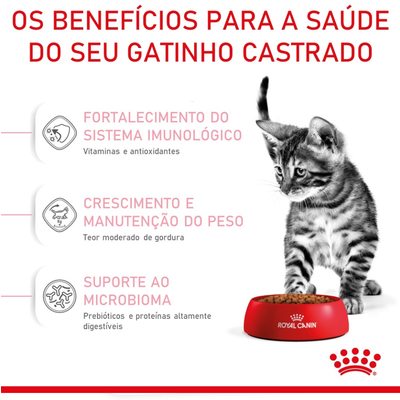 Ração Royal Canin Mother & Babycat para Gatas Gestantes e Lactantes e Gatos Filhotes de 1 a 4 Meses de Idade